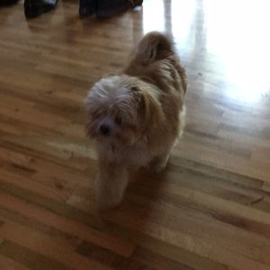 Meet your Posher, Jon